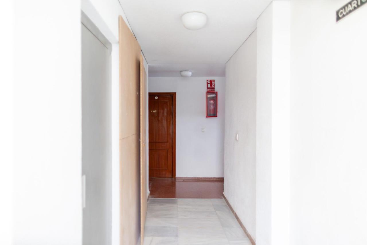 Rosamar Daire Torrevieja Dış mekan fotoğraf