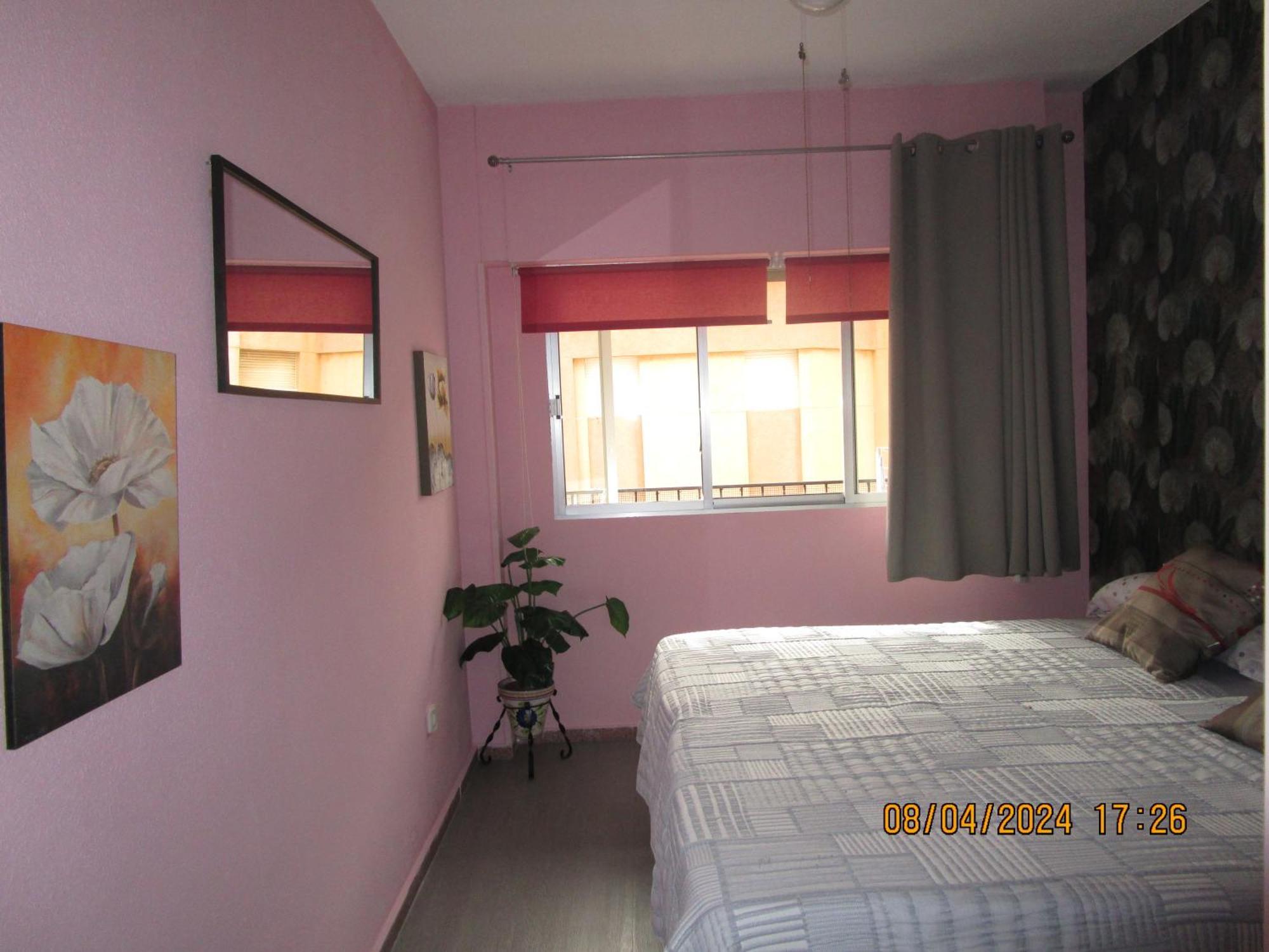 Rosamar Daire Torrevieja Dış mekan fotoğraf