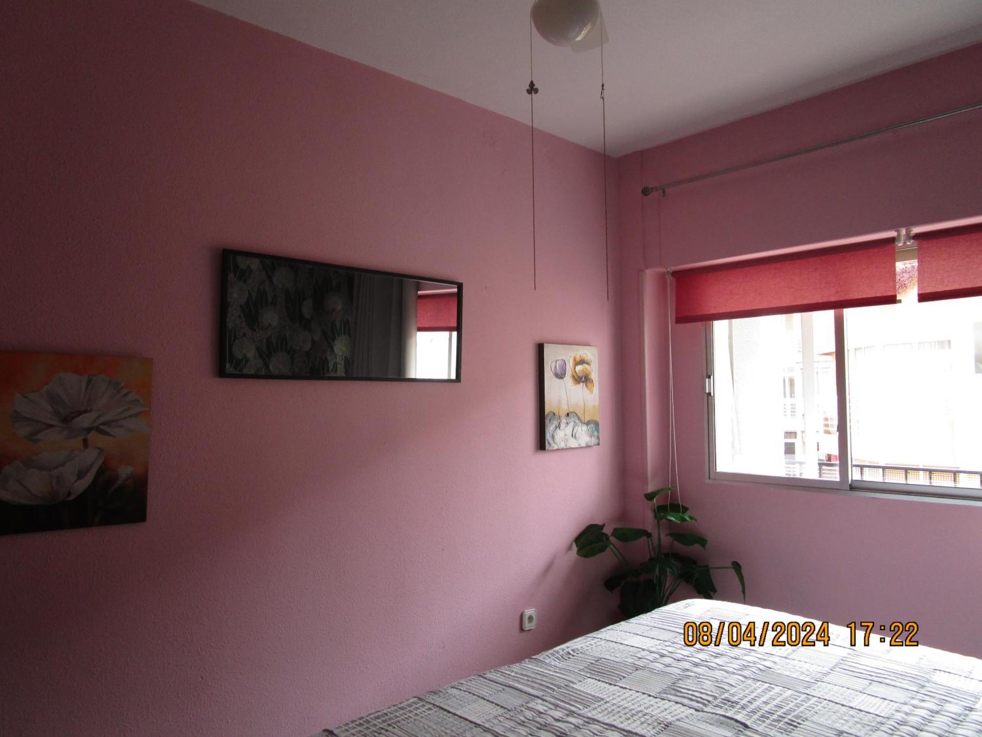 Rosamar Daire Torrevieja Dış mekan fotoğraf